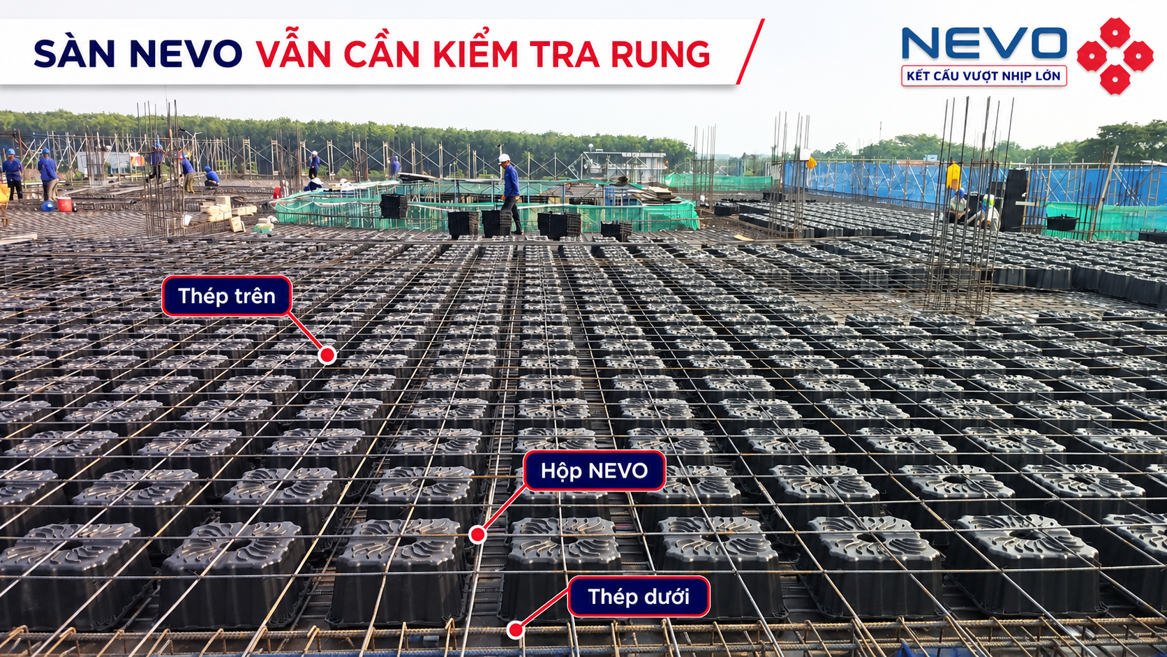 Minh họa cốt thép và hộp tạo rỗng NEVO trong bài toán kiểm tra rung sàn